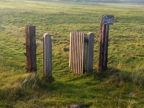 Einfaches Gatter aus Holzpfosten auf einer Wiese