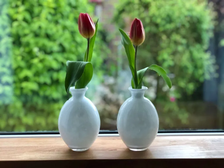 Zwei weiße Vasen mit roten Tulpen auf einer Fensterbank